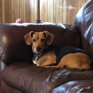 Meet your Posher, Katurah